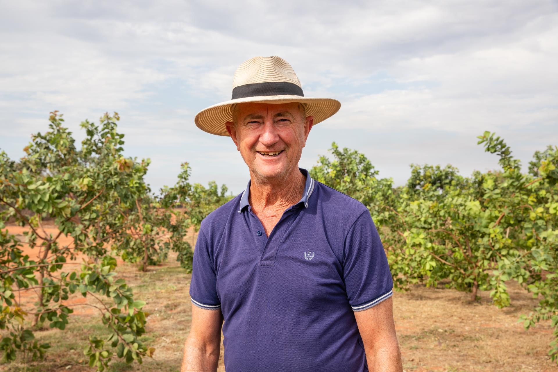 Shamrock Gardens Image